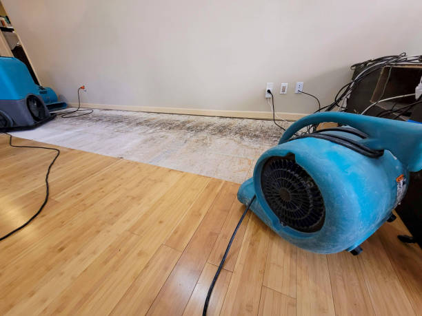 Professional Water Damage Repair technician working in Watauga, TN